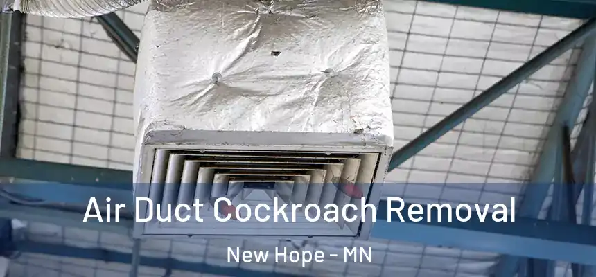 Air Duct Cockroach Removal New Hope - MN