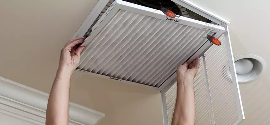 Preventive Cockroach-Proofing for Ducts in New Hope
