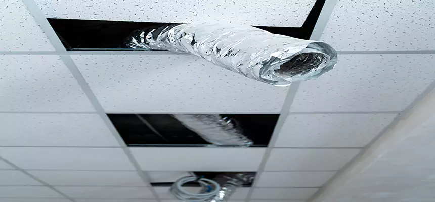 Affordable HVAC Sanitizing After Pest Removal in New Hope