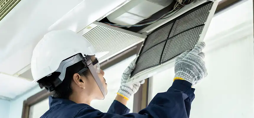 Our Lint Trap Cleaning Service Services in New Hope, MN