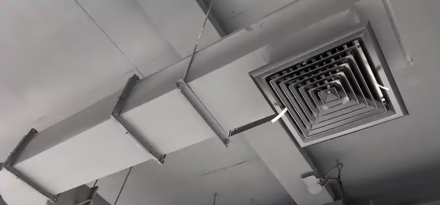 Our Pest Removal From Ducts Services in New Hope, MN