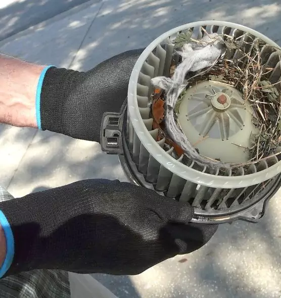 About Air Duct Mice Removal in New Hope, MN