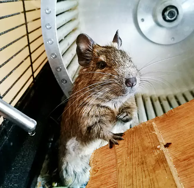 Why Homeowners & Businesses Trust Us New Hope, MN?